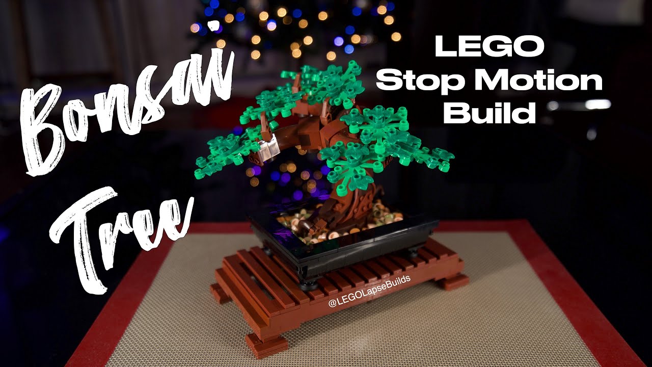 Bonsai Tree LEGO Stop Motion Build (10281) YouTube