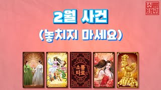 [타로/타로점]2월 사건은?