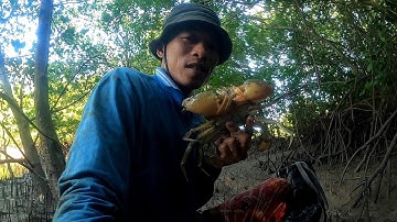 Quẹo Cần Giờ Tập 53: Lần Theo Dấu Vết Những Con Cua Biển Rừng Ngập Mặn