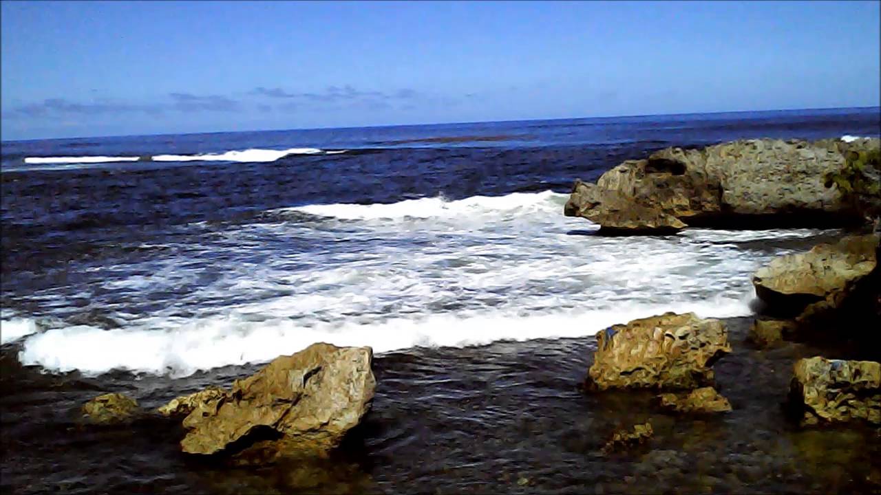 La Baie Olive à Lest De La Guadeloupe