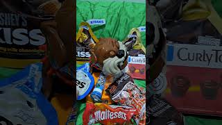 MADDOG A LOT OF CHOCOLATES satisfying maddog asmr chocolate reaction interesting shorts