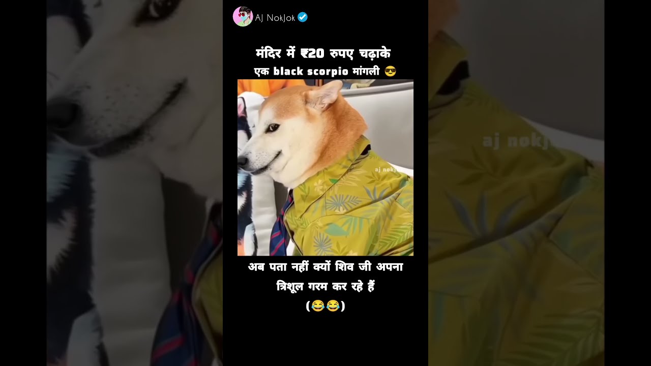 Bakchodi Nhi Rukni Chaiye Mittar Funny Meme Viral Shorts Funnymemes