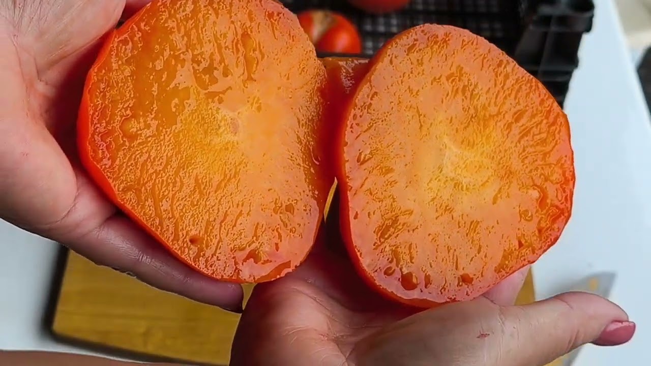 Томаты в разрезе  теплица №1часть 2 