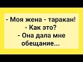 Мужик и Жена Таракан! Подборка Смешных Жизненных Анекдотов! Настроение Гарантированно!