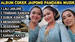 Download lagu Album Cokek Jaipong PANDAWA MUSIC GLEEER... mp3