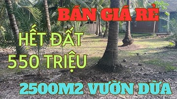 MS1492: 🌴Đã bán 🌴Bán rẻ 550 triệu hết 2500m2 đất vườn dừa 🌴xã Tân Phú | Khoa Nhà Đất Tiền Giang