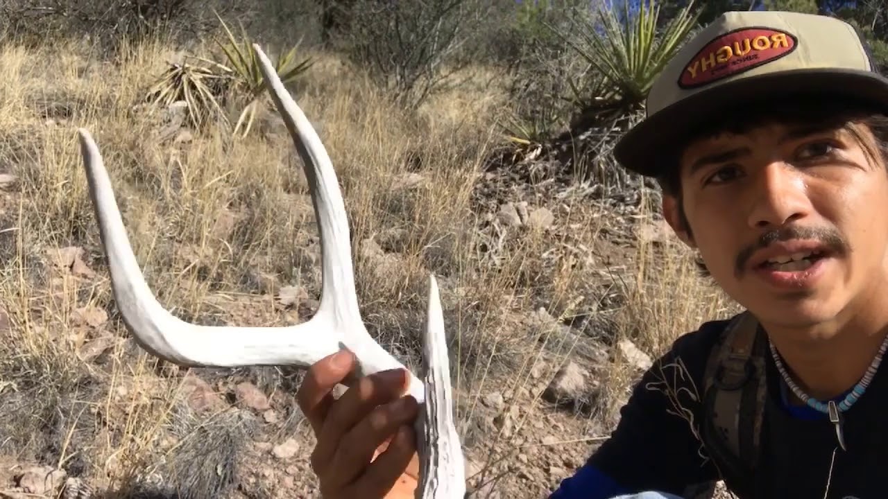 NEW MEXICO SHED HUNT FEB.2020 _garcia_shedz_ YouTube