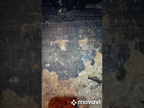 Betonowa ściana przegradza nam wejście do kompleksu #short