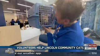 Lincoln volunteers trap, neuter, return over 2,700 stray and feral cats