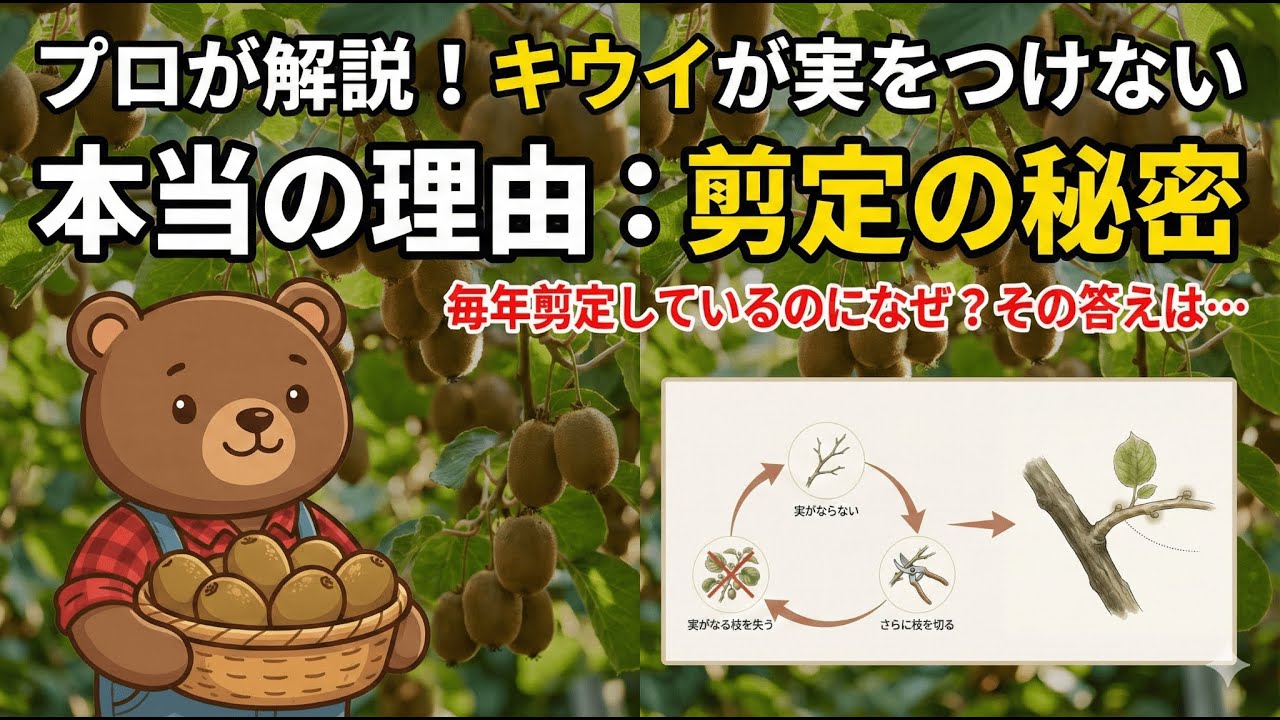キウイの剪定方法｜家庭菜園で失敗しないための基本と考え方