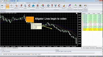 VertexFX Client VTL Indicator - Alligator VTL Script