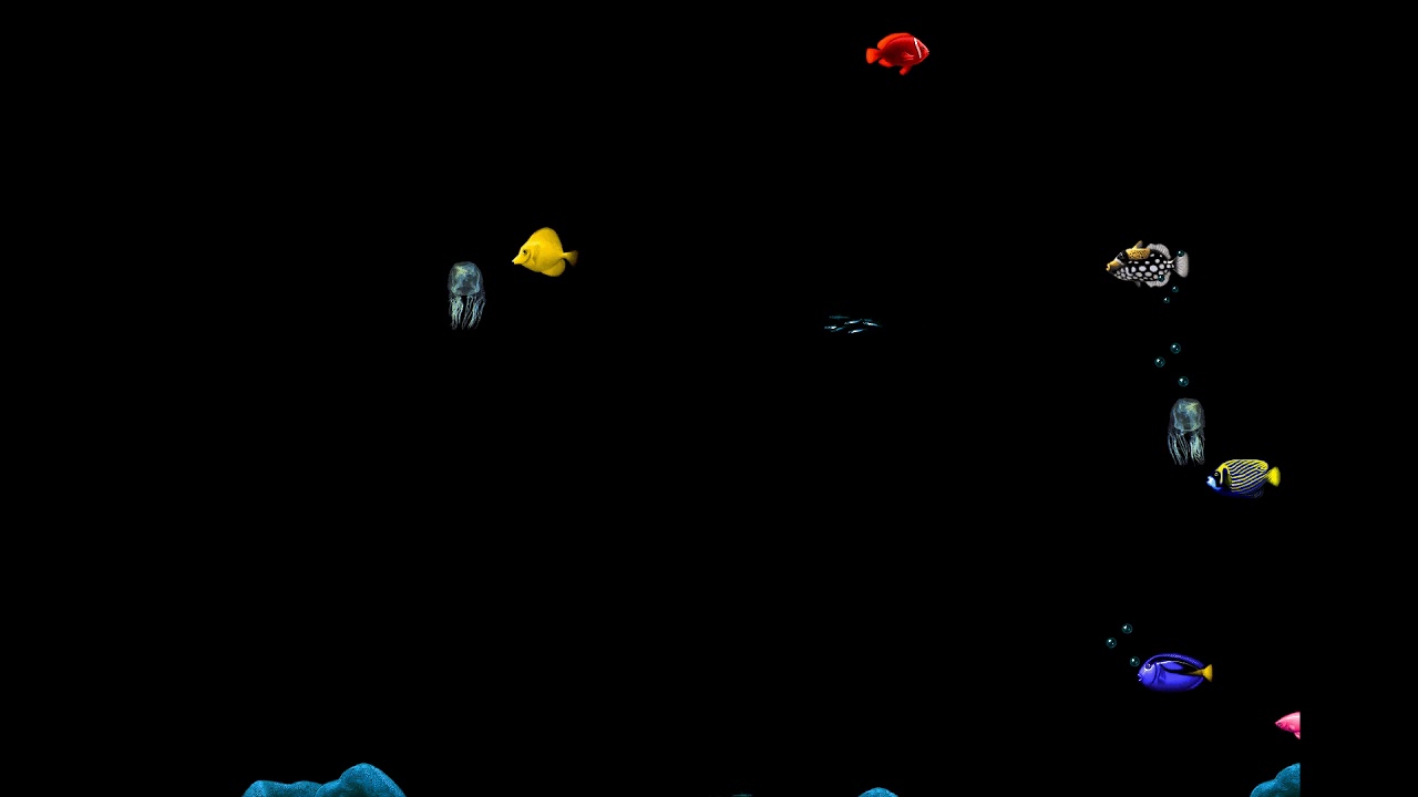 After Dark Fish! Pro YouTube