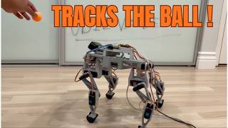 ODIE: Servo Quadruped RL Demo - Raspberry Pi 5