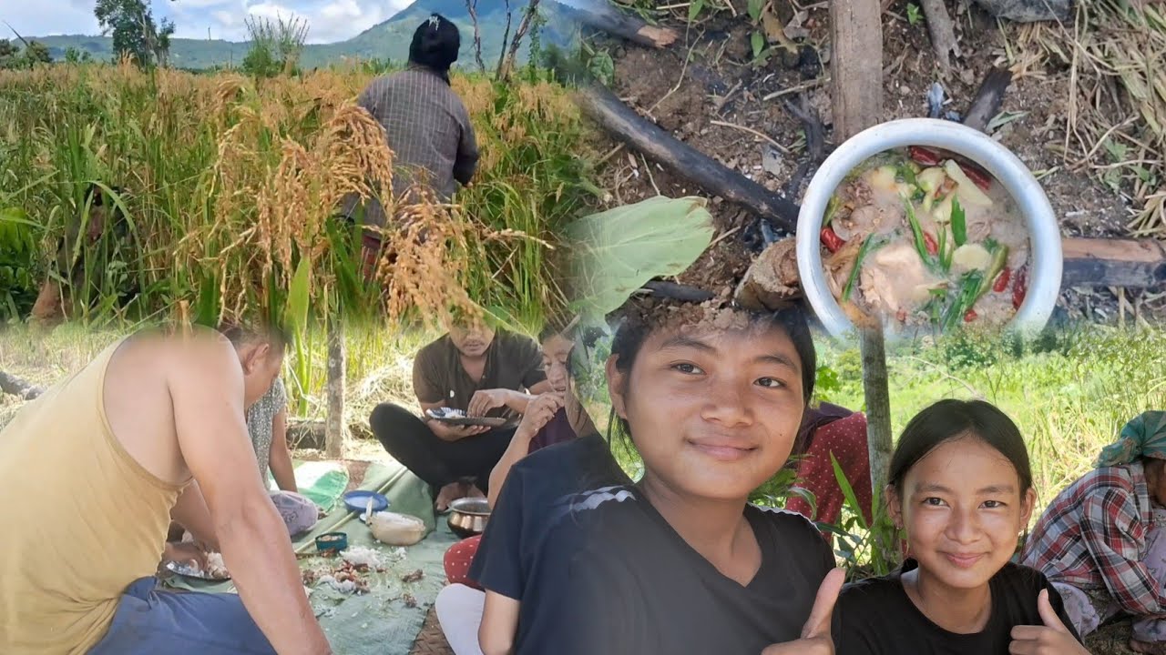Goodbye Rice Field Family mukbang Celebration last day Rice harvesting jhum field/bye ...