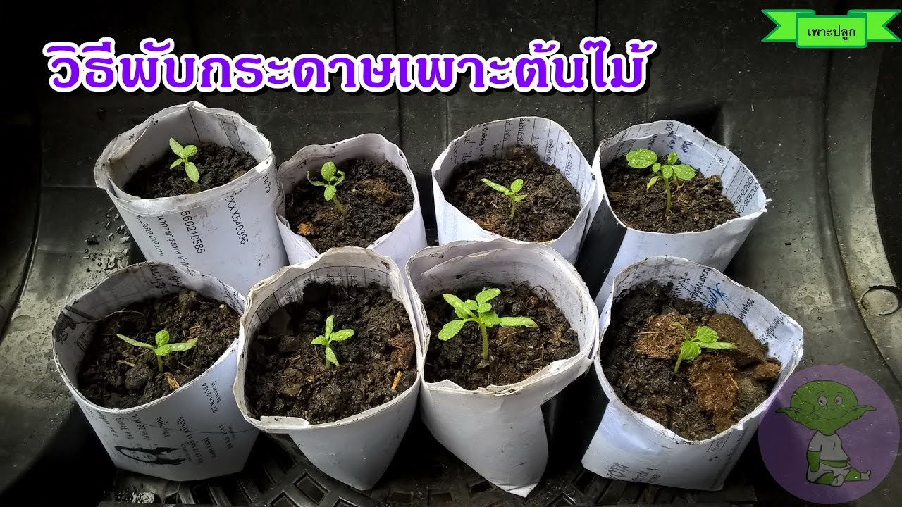 วิธีพับกระดาษเพาะต้นไม้ ใส่กล้าไม้ ลดต้นทุน ลดค่าใช้จ่าย 2 วิธี | เนื้อหาไม้ กระดาษที่มีรายละเอียดมากที่สุดทั้งหมด