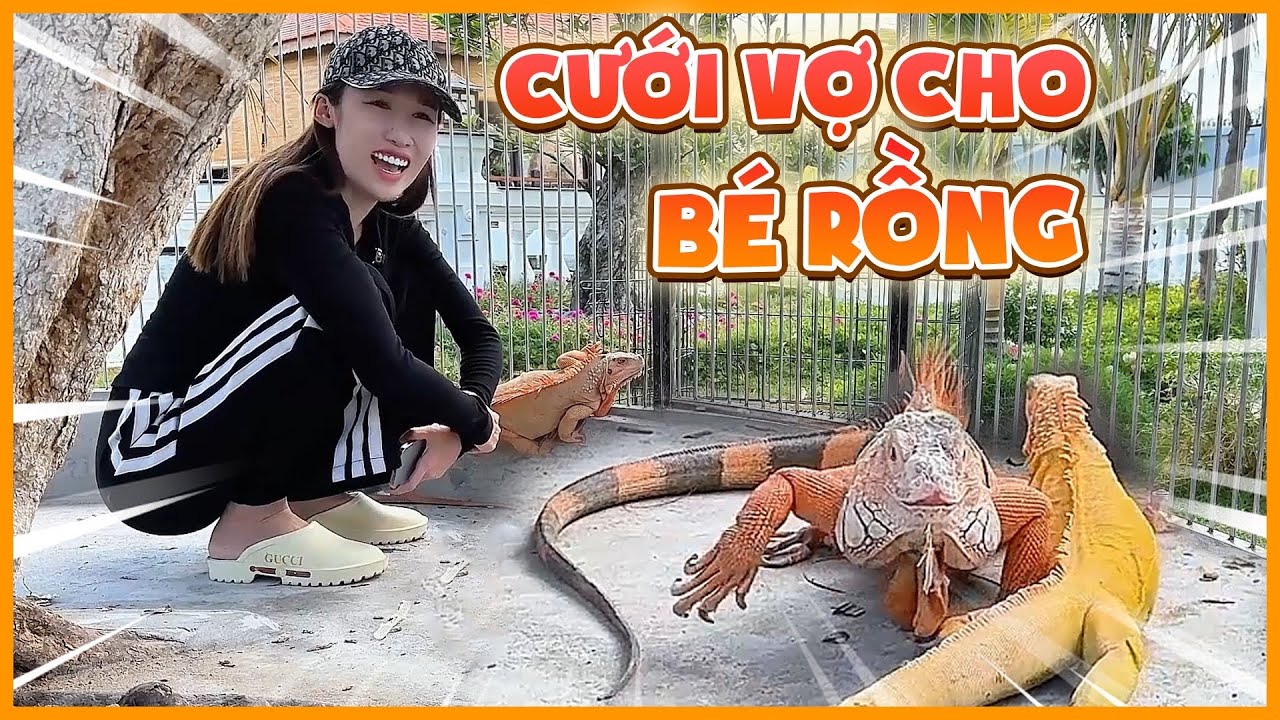 Nguyễn Huỳnh Như chơi lớn cưới cho bé rồng 2 cô vợ, chuyến này rồng mê dữ rồi…