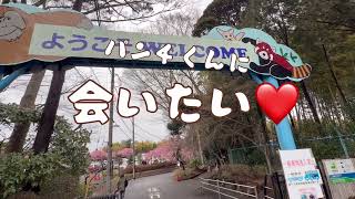 生パンチくん可愛い過ぎた❤市川市動植物園🐒人工哺育のさるの赤ちゃん