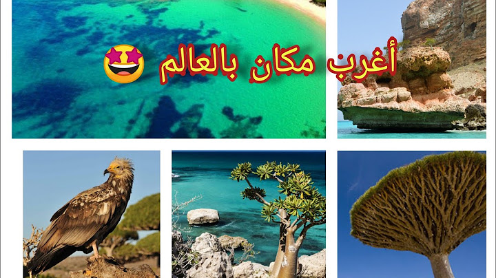 أغرب مكان بالوجود 🤔 ..؟! و واحد من أجمل الأماكن بالعالم....❤️🤩