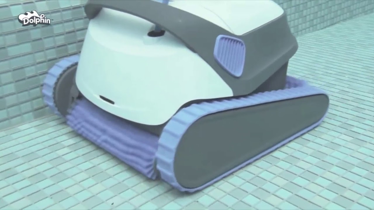 Dolphin Robotic Pool Cleaners YouTube