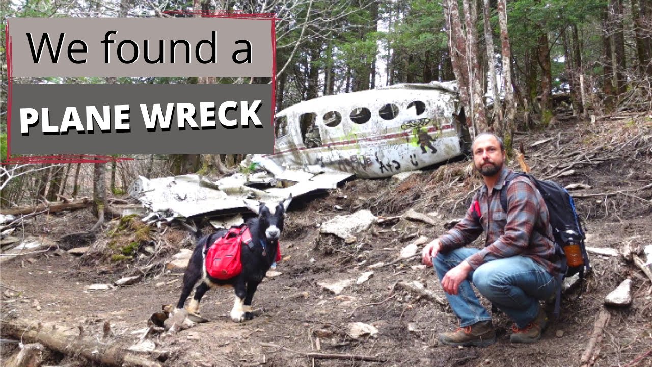 80s Plane Wreck Discovery Secrets In Mountains Of Asheville, NC