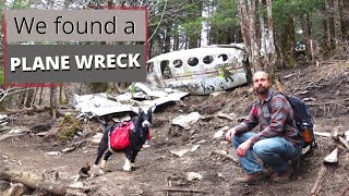 80s Plane Wreck Discovery: Secrets In Mountains Of Asheville, NC | HappyGoatAdventures.org