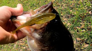 big bass on the #6thsensefishing flush