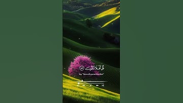 قُلْ مَنْ رَبُّ السَّمَاوَاتِ السَّبْعِ وَرَبُّ الْعَرْشِ الْعَظِيمِ#قران_كريم #سورة المؤمنون