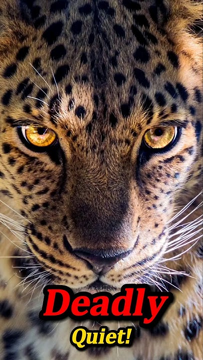 whispers-of-the-wild-5-silent-but-deadly-animals-part-1-shorts