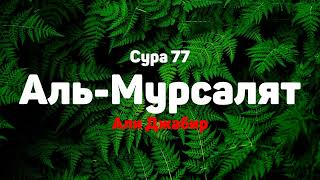 Сура 77 Аль-Мурсалят - Али Джабир