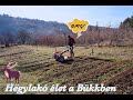 Hegylakòk a Bükkben- Hazaèrtünk  II Èlet a hegyen (Story 1.)