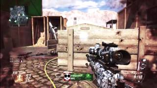 Multicod mini w/Arth _Sow #2 Profile