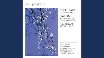 Arianna a Naxos, Cantata for Voice, String Quintet, and Harpsichord, Hob.XXVIb:2 (Arr. Jaffe)...