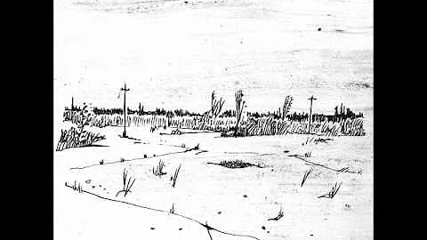 The Besnard Lakes - We're Here For A Good Time (Not A Long Time)