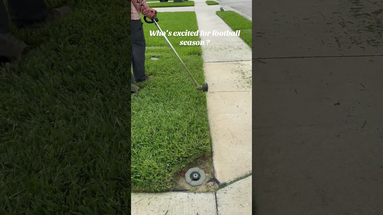 What Yall Think Lawnmowingbusiness Lawncare Lawn Fyp Nfl Lawnmaintenance Lawncareservices