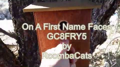 Mona Lisa Puzzle Cache