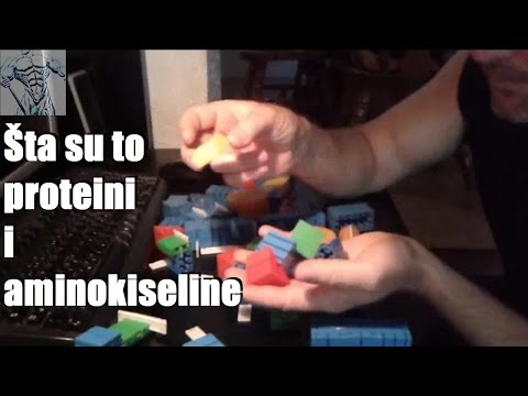 Video: Što Su Aminokiseline