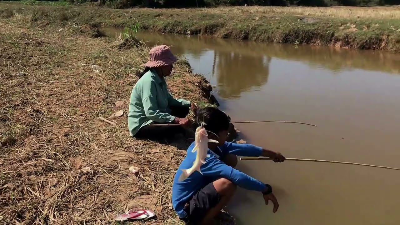 Fishing Rod video | Traditional Village Fishing Rod Adorable Catching Fish in  pond 