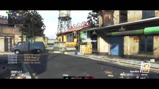 Dolphins 2 | Multi-Cod Dualtage