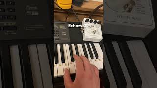 Echoes Intro practice #classicrock #pinkfloyd #Echoes #progressiverock #meddle #richardwright
