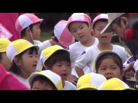 スタジオまる　代表　齋藤隆明