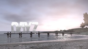 The Magnum Though... (DayZ)