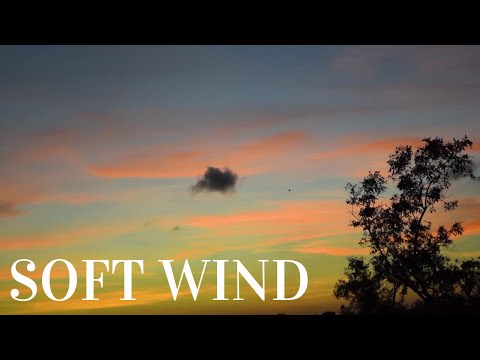 Soft Wind Sound Sounds To Help Sleep