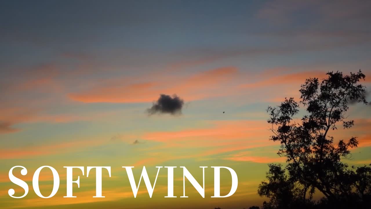 Soft Wind Sound. Sounds To Help Sleep YouTube