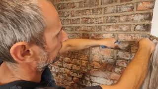 I re point this old feature wall and replace some bad bricks in lime pointing