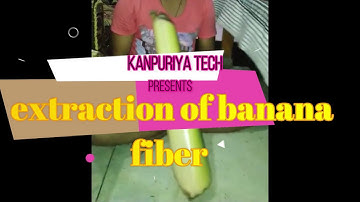 extraction of banana fiber