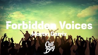 Martin Garrix - Forbidden Voices [Chill Boy Promotion]