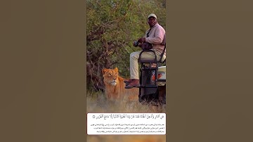 شيخ رعد الكردي حالات واتس اب | سورة (آل عمران: ١٨٥)