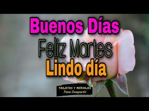 Hola buenos dias Feliz martes 🌹 Imagenes bonitas - YouTube