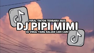 DJ PIPI MIMI | PIPI JANGAN MAIN MAIN VIRAL TIKTOK TERBARU 2023 !!!