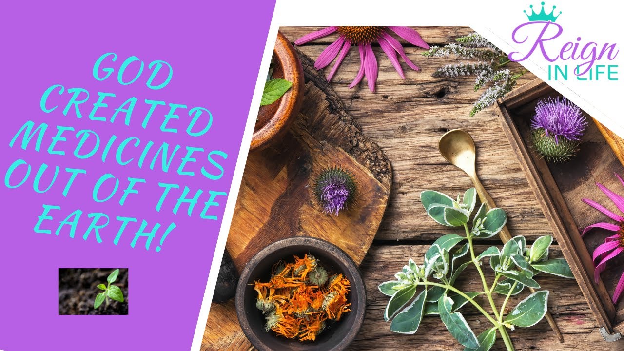 9 Powerful Herbs that Will Detox Your Entire Body | Iaso Detox Tea